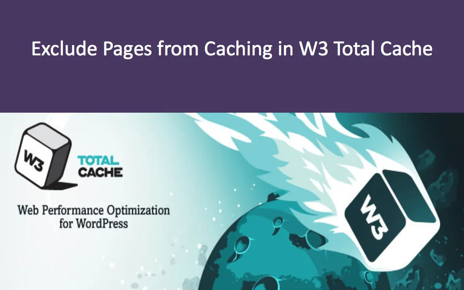 W3 Total Cache Pro v2.10.6破解版 WordPress全站专业缓存加速优化插件插图_崭新源码 W3 Total Cache Pro v2.10.6破解版 WordPress全站专业缓存加速优化插件插图_崭新源码