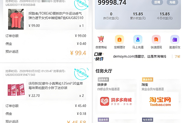 V10自动抢单系统：唯品会/京东/淘宝通用，智能匹配高效盈利