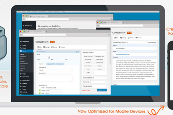 Gravity Forms v2.9.21 破解版：一站式 WordPress 表单神器