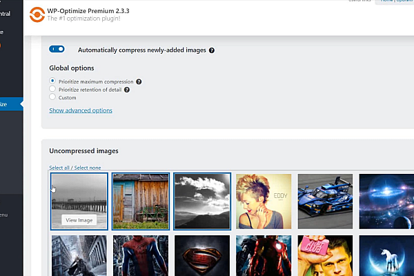 WP-Optimize Premium v4.3.1破解版完整使用指南：数据库清理、图片压缩与缓存管理全解析