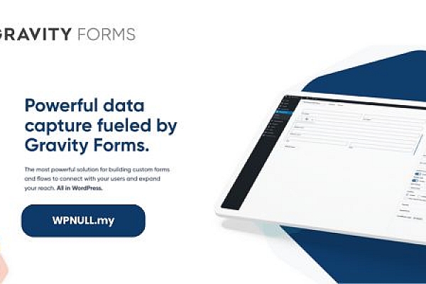 WordPress专业表单插件Gravity Forms：可视化编辑器与在线收款