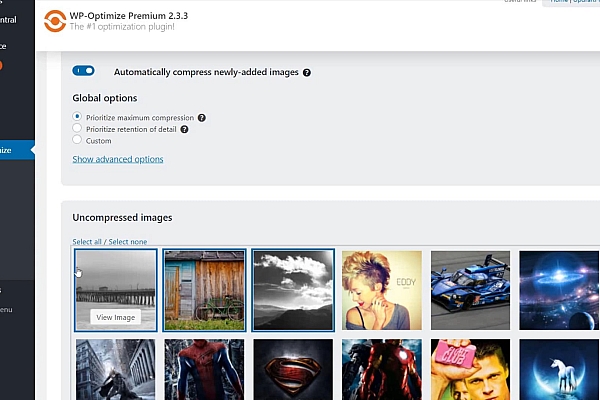 WP-Optimize Premium v4.4.0破解版 全能优化插件，提速必备